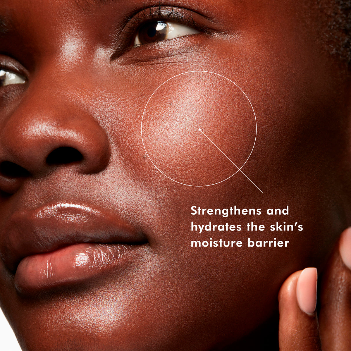 SC Phyto Corrective Mist